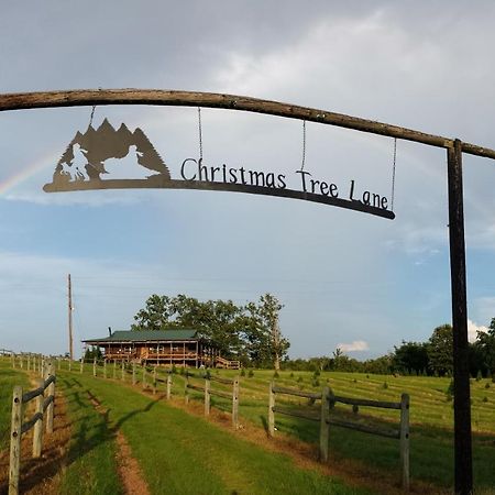 Rural Life On A Real Christmas Tree Farm! Hallmark Experience! Ozark Dış mekan fotoğraf