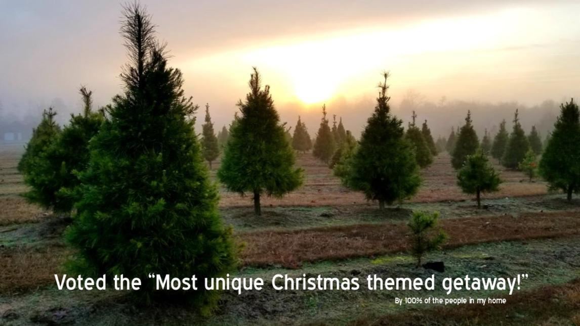 Rural Life On A Real Christmas Tree Farm! Hallmark Experience! Ozark Dış mekan fotoğraf