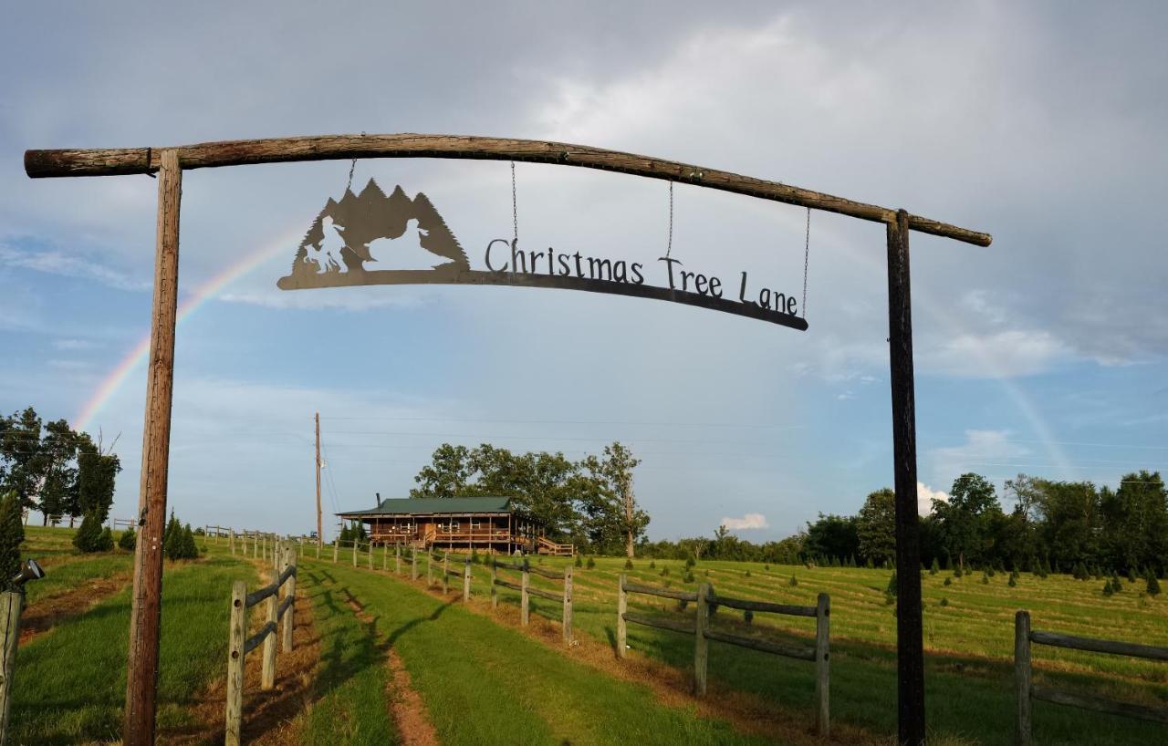 Rural Life On A Real Christmas Tree Farm! Hallmark Experience! Ozark Dış mekan fotoğraf