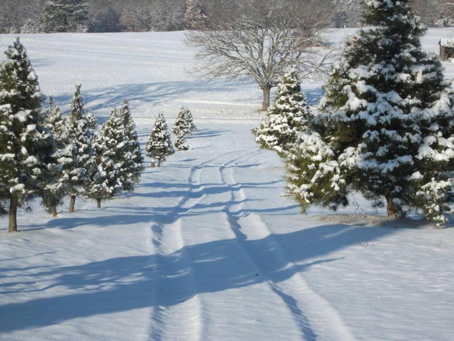 Rural Life On A Real Christmas Tree Farm! Hallmark Experience! Ozark Dış mekan fotoğraf