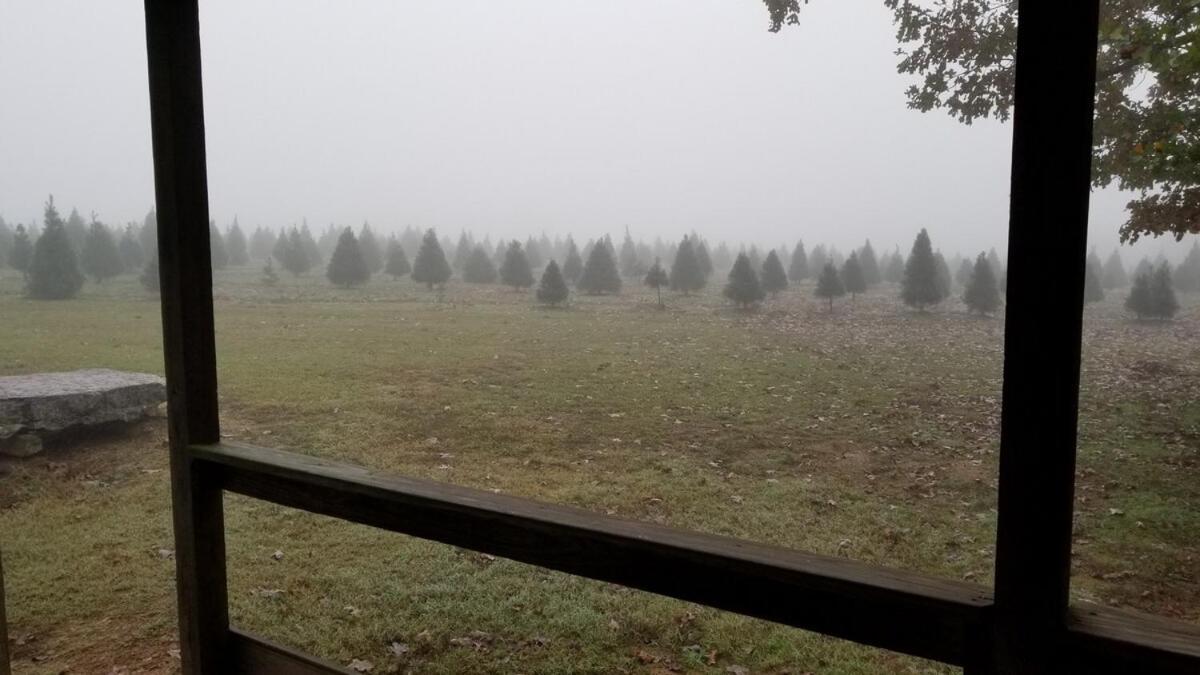 Rural Life On A Real Christmas Tree Farm! Hallmark Experience! Ozark Dış mekan fotoğraf